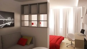 Bedroom-living room 15-16 sq. m: design options and zoning features