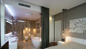 Schlafzimmer mit Bad: Sorten, Auswahl und Installation