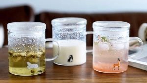 Glass mugs: variety of types and selection criteria