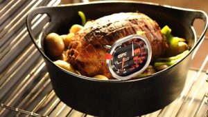 Meat thermometers: features, types, choice, rules of use