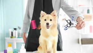 All About Dog Grooming