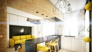 Virtuves-dzīvojamās istabas dizains 16 kv. m