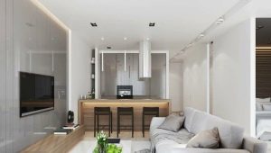 Keuken-woonkamer ontwerp 17 m². m: lay-out- en ontwerpopties