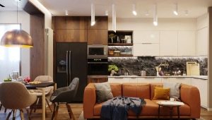 Design cucina-soggiorno 18 mq. m: opzioni di layout e design