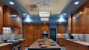 Dvouúrovňové a víceúrovňové napínací stropy do kuchyně: odrůdy, možnosti, nápady