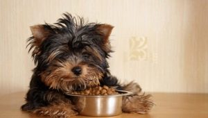 Nourriture hypoallergénique pour chiens de petite race