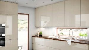 Glänzende Küche im Innenraum: Vor- und Nachteile, Verwendungsideen