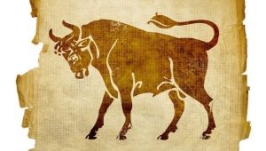 Year of the Ox: character characteristics, dates and compatibility