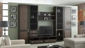 Skluzavky v obývacím pokoji: různé modely a doporučení pro výběr