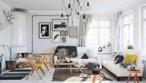 İskandinav tarzında oturma odası: özellikler ve tasarım seçenekleri