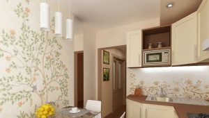 Ideas para el diseño de interiores de la cocina de 5 m2. m en Jruschov