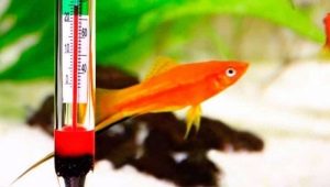 What should be the temperature in a fish tank?