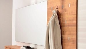 Sieniniai kabliukai drabužiams koridoriuje: kas jie yra ir kaip pasirinkti?