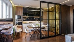 Partitions between the living room and the kitchen: types and materials