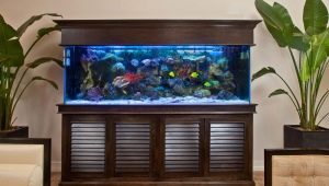 Стойки за аквариум: разновидности и избор
