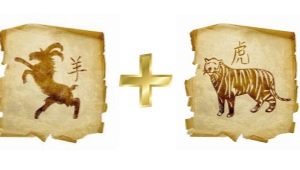 Tīģera un kazas (aitas) saderība pēc austrumu horoskopa