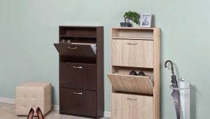 Shoe cabinets in the hallway: types, sizes and options in the interior