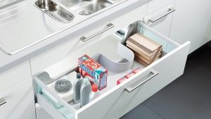 Kabinet sinki di dapur: jenis dan pilihan