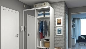 Tủ quần áo chật hẹp trong hành lang: loại, lựa chọn và vị trí