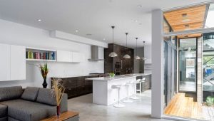 Virtuves-dzīvojamās istabas dizaina iespējas 40 kv. m