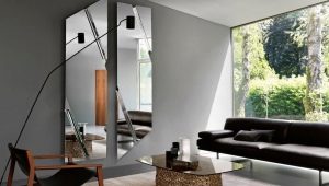 Specchi nell'interno del soggiorno: caratteristiche, varietà, selezione e installazione