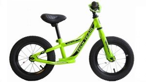 Tech Team balance bikes: models, recommendations for choosing