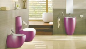 Farvede toiletter: typer og muligheder i interiøret