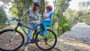 Kursi sepeda anak-anak di bagasi: varietas, rekomendasi untuk memilih