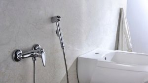 Pancuran mandi bersih dengan pengadun: jenis, jenama dan pilihan