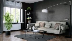 Dzīvojamā istaba pelēkos toņos: apraksts un dizaina iespējas