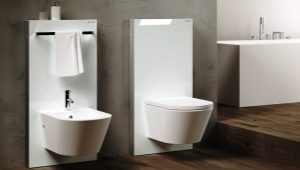 Geberit toilet installations: features, types and sizes