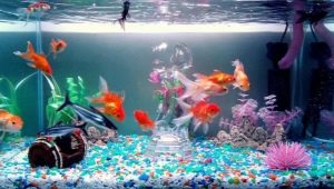 Cum să înmoaie apa într-un acvariu și cum să o îngreunezi?