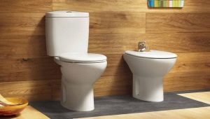 Which Keramin toilet to choose?