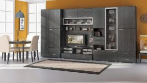 Cabinet furniture for the living room: an overview of the varieties and tips for choosing