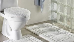 Toilet rugs: varieties, choices, examples