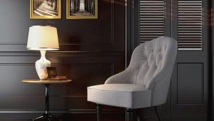 Stühle im Wohnzimmer: Sorten und Auswahlkriterien