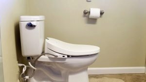 Toiletbidetafdekking: variëteiten, merken, selectie en installatie