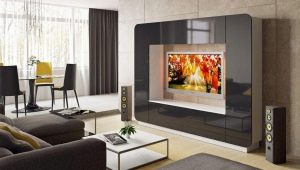 Viesistabas mēbeles televizoram: veidi, ražotāji un padomi izvēlei