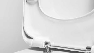 Toilet microlift: what is it, what are the pros and cons?