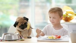 Μπορούν να χορηγηθούν πατάτες σε σκύλους και ποιοι είναι οι περιορισμοί;