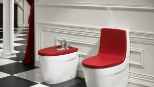 Floor-standing toilets: device and varieties, recommendations for choosing