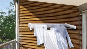 Aan de muur gemonteerde wasdrogers op het balkon: variëteiten, selectie en installatie