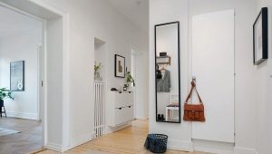 Miroirs muraux dans le couloir: types, sélection et placement