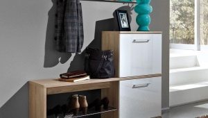 Shoe racks in the hallway: types, choices and options in the interior