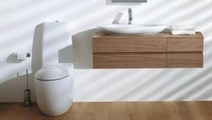 Характеристики и разнообразие от модели тоалетни чинии Laufen