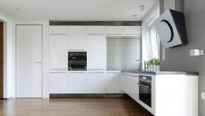 Features and selection of hanging kitchens