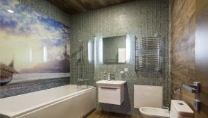 Panneaux pour la salle de bain: caractéristiques, variétés et conseils de choix