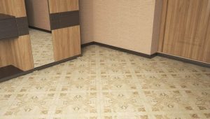 אריחים על הרצפה במסדרון: סקירת זנים, עיצוב ומבחר