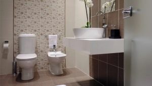 Toilet tiles: types and design ideas