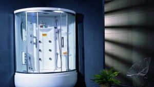 Pros, cons and features of Appollo showers